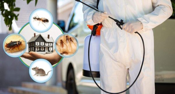 Certified Pest Control – Your Solution to a Pest-Free Home
