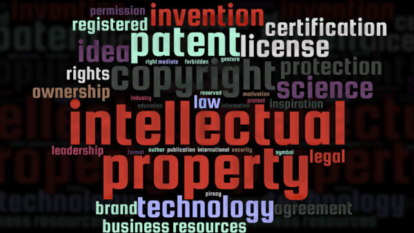 Intellectual Property Security : Safeguarding Your Innovations