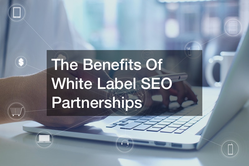 White Label Local SEO services